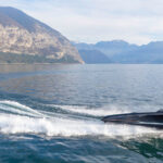 RIVA ISEO SUPER